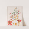 Tropaeolum Pentaphyllum (1824-1828) by Auguste de Saint-Hilaire