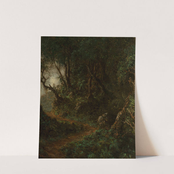 Tropical Greenery (Tropical Landscape) (1875) by Martin Johnson Heade