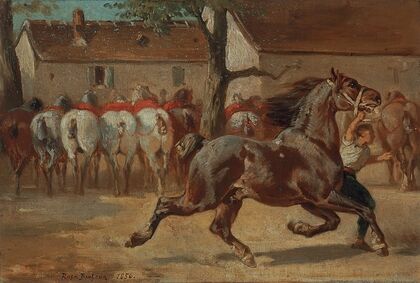 Trotting A Horse
