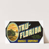 Tru-Florida Oranges and Grapefruit Label (1930-1950)
