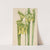 Trumpetleaf (Sarracenia flava) (1920) by Mary Vaux Walcott