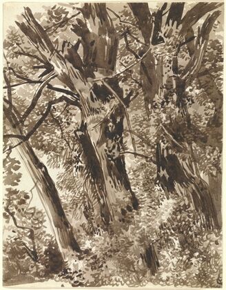 Trunks and Branches
