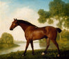 Truss, A Hunter