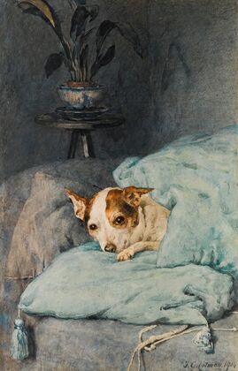 Tucked Up