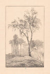 Tuin met rozenbogen op landgoed Zorgvliet Zorgvliet I (1929)