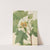 Tuliptree (Liriodendron tulipifera) (1918) by Mary Vaux Walcott