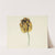 Tulp genaamd Bizard Leodie (1741 - 1795) by Cornelis van Noorde