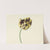 Tulp genaamd Bizard Pontifex Romanus by Cornelis van Noorde