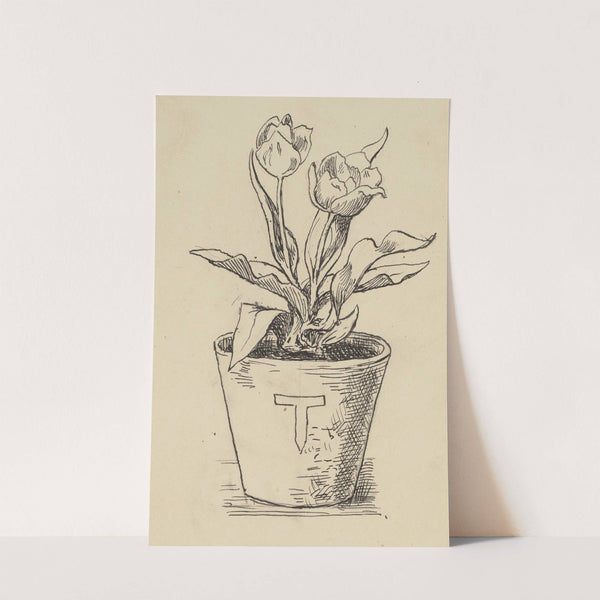 Tulpe (ca 1905) by Hans Thoma