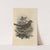 Turdus Iliacus (1899-1902) by Henry Seebohm