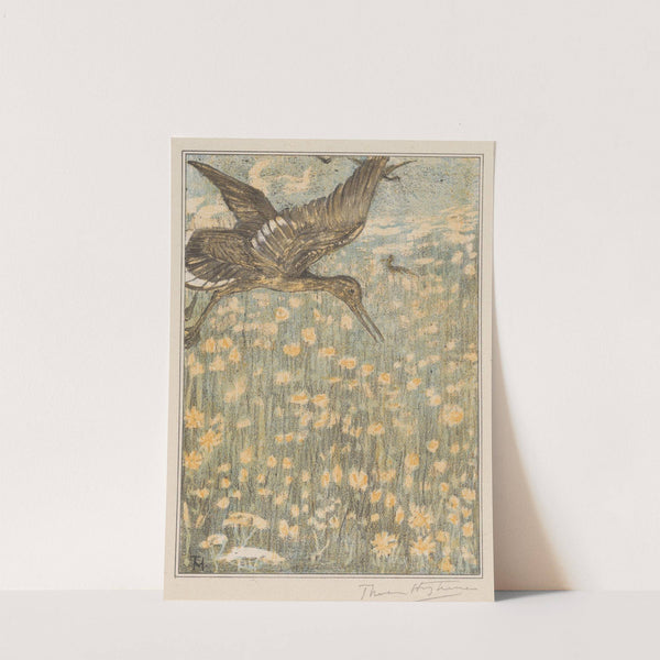 Tureluur by Theo van Hoytema