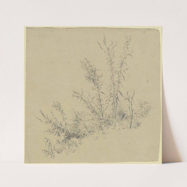 Turf by Peter Burnitz