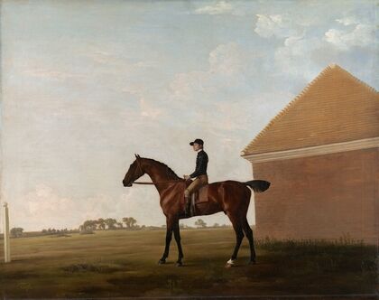 Turf, with Jockey up, at Newmarket
