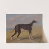 Turk, a greyhound, the property of George Lane Fox (1822) by George Garrard