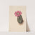 Turkeyhead Cactus (Echinocerus perbellus) (1930) by Mary Vaux Walcott