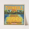 Turnbull Brand Citrus Label (1930s)