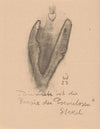Twee geabstraheerde hoofden en een heilig hart (1923)