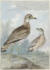 Twee grielen