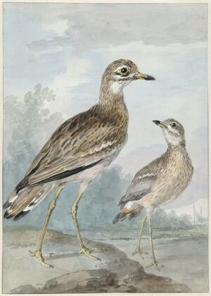 Twee grielen