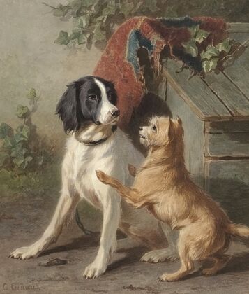 Twee honden bij een hok