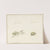Twee insecten by Gerardus van Veen