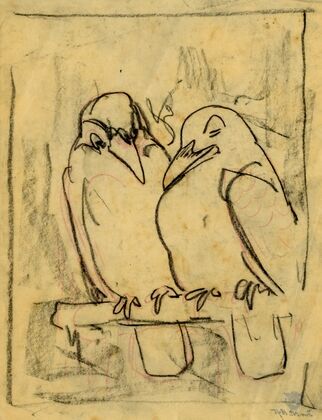Twee kauwtjes