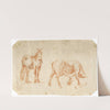Twee paarden by Barend Hendrik Thier