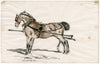 Twee paarden in een juk
