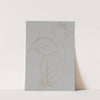 Twee studies van een flamingo by Theo van Hoytema
