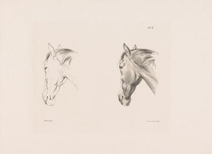 Twee studies van een paardenhoofd (1835)