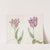 Twee tulpen (1637) by Jacob Marrel