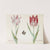 Twee tulpen met atalanta en krekel Bondt Cuy Schrai Wercker (1637) by Jacob Marrel