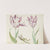 Twee tulpen met dode kiker en rups A. van Victorij Angellica (1637) by Jacob Marrel