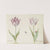 Twee tulpen met mug en kever Gemarmor van Caar Lanetta de Cambrey (1637) by Jacob Marrel