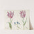 Twee tulpen met onbekende bloeiende plant Plumage da Costa Buspolo (1637) by Jacob Marrel