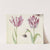Twee tulpen met schelp, kever, vlieg en vlinder Minerva G. Standart (1637) by Jacob Marrel