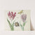 Twee tulpen met schelp, waterjuffer en vlinder Marcus Aurellius Augustus A van der Pul (1637) by Jacob Marrel