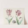Twee tulpen met slak, nachtvlinder en twee insecten (1637) by Jacob Marrel