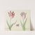 Twee tulpen met vliegende kever General va(n) Horne Amaral pot Bacer (1637) by Jacob Marrel