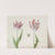 Twee tulpen met vlinder en twee waterjuffers Perlla Olinda van Burch (1637) by Jacob Marrel