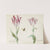 Twee tulpen met vlinder Tornau da Costa Tulpa Gedeldr(i)g (1637) by Jacob Marrel