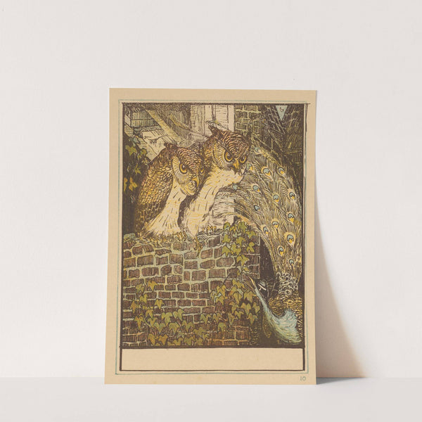 Twee uilen op een muur by Theo van Hoytema