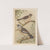 Twee vogels op takken by Theo van Hoytema