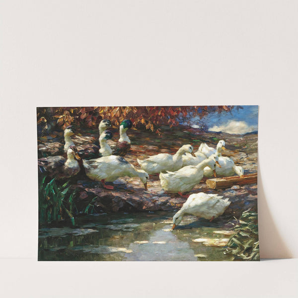 Twelve Ducks at the Fountain by Alexander Koester