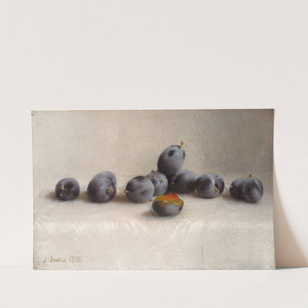 Twelve Plums by Joseph Decker