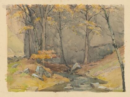Twilight in the Zádiel Valley (1920–1930)