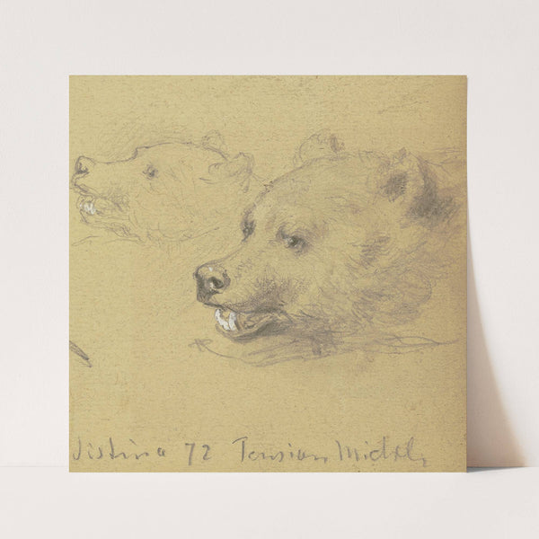 Two bears by Wilhelm Amandus Beer