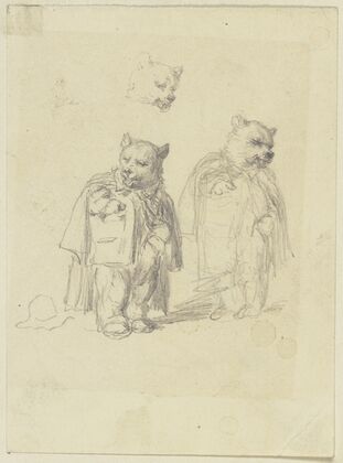 Two bears.