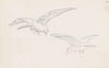 Two birds