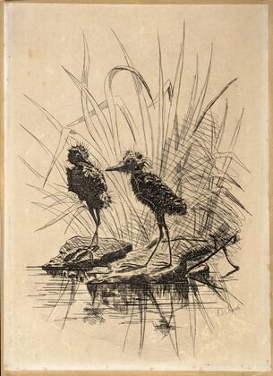 Two Birds